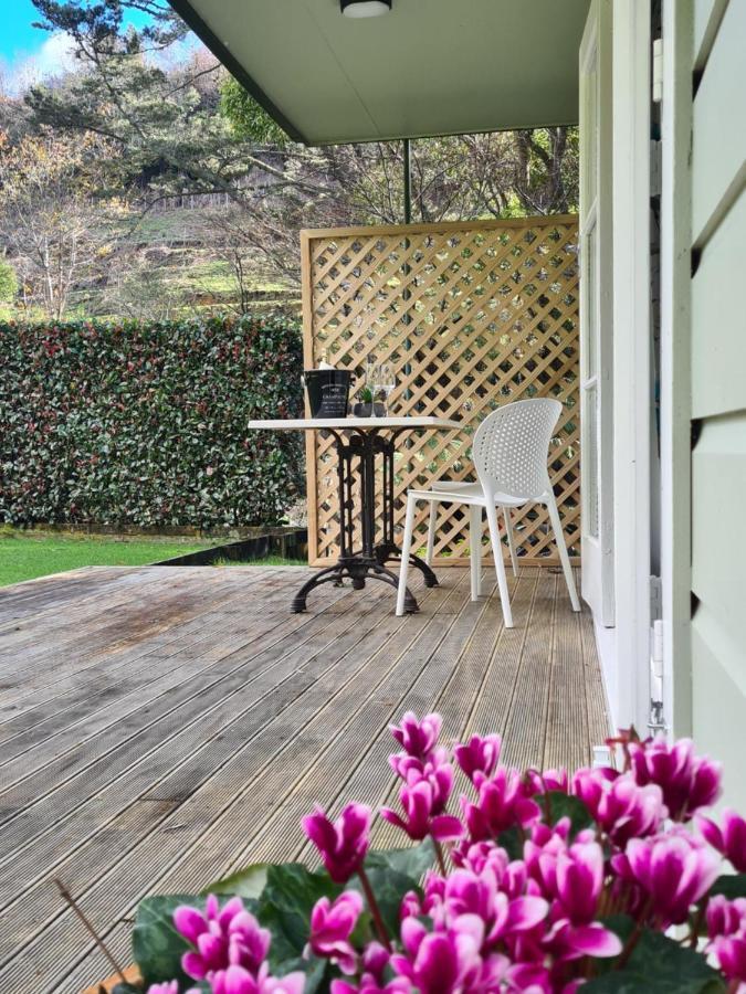 Apartmán Pyes Pa Studio Tauranga Exteriér fotografie